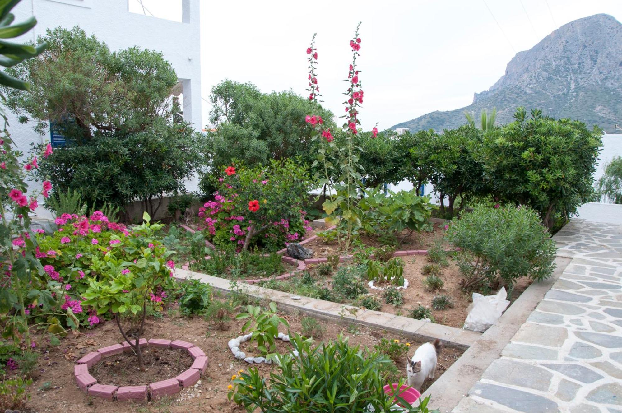 Tatsis Apartments Masouri Exteriör bild