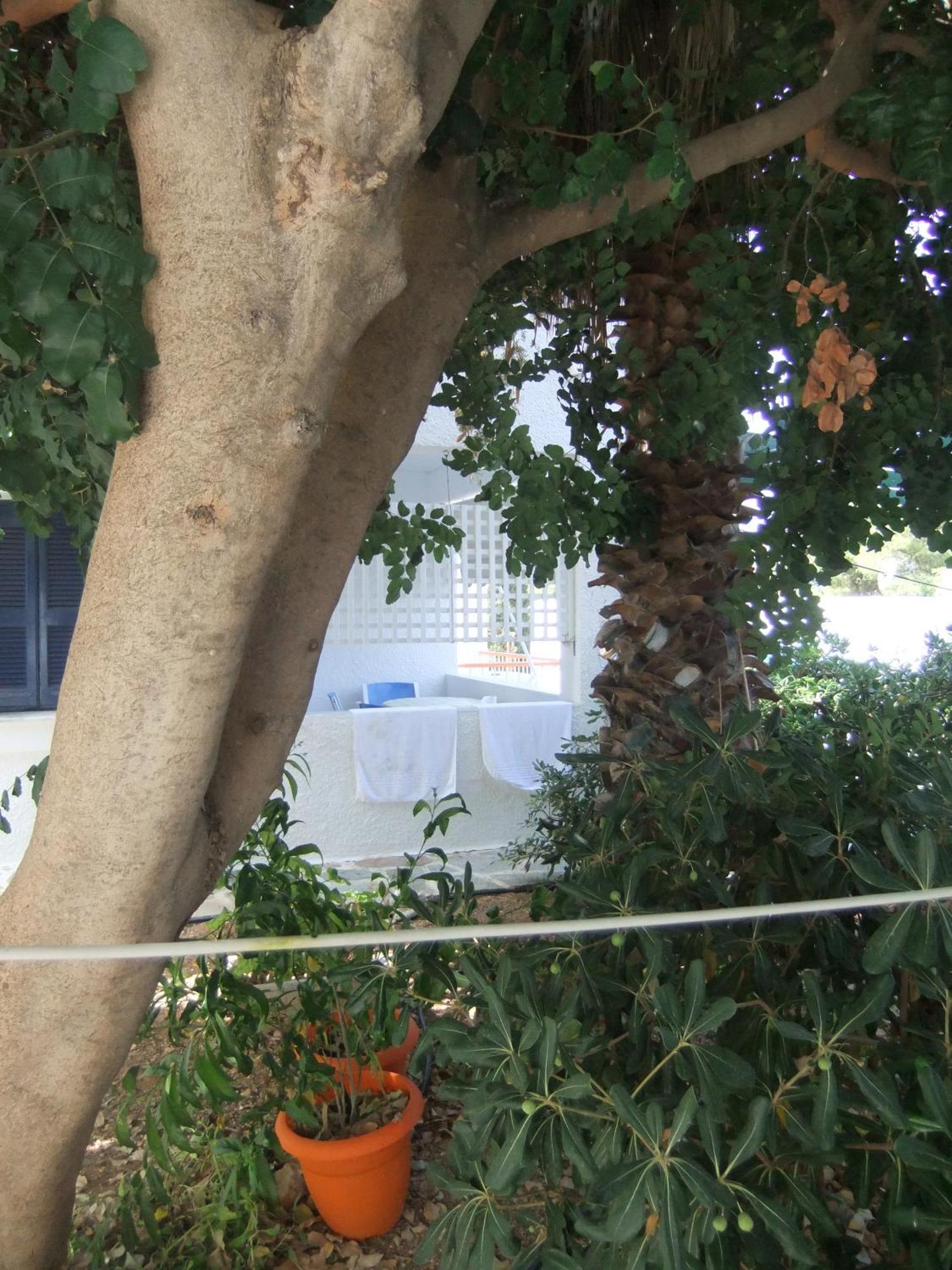 Tatsis Apartments Masouri Rum bild