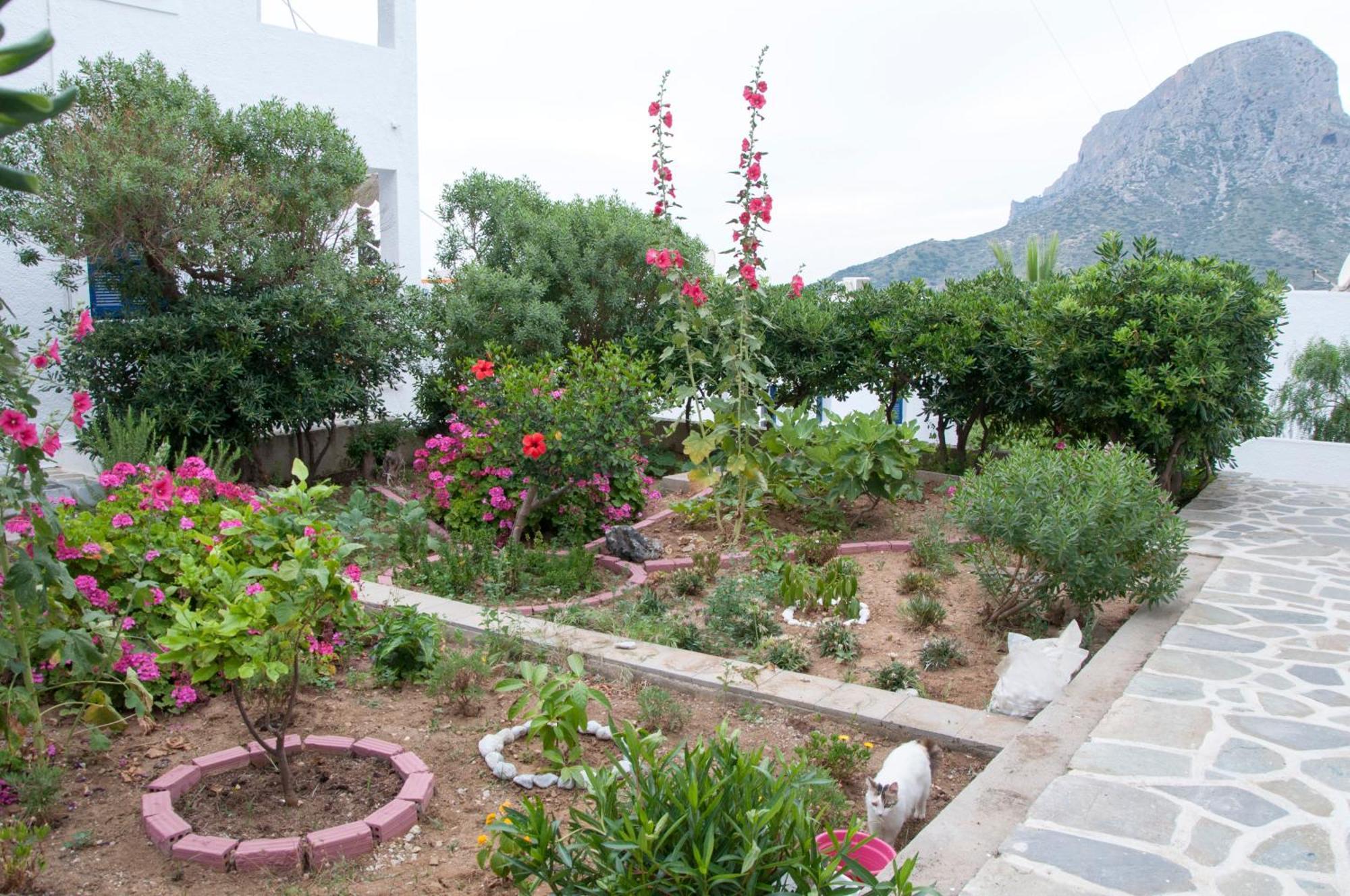 Tatsis Apartments Masouri Rum bild